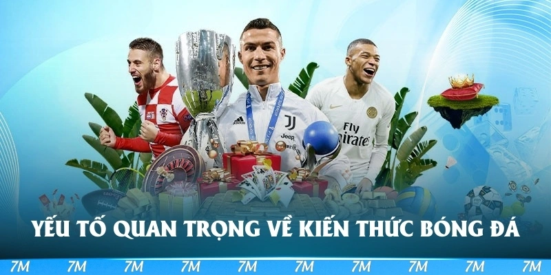 Yếu tố quan trọng về kiến thức bóng đá 7m
